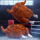 Illustration for article titled It's the store-bought rotisserie chicken smackdown!